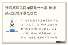 沧海笑滔滔两岸潮是什么歌 沧海笑滔滔两岸潮是啥歌