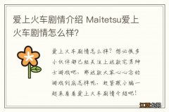 爱上火车剧情介绍 Maitetsu爱上火车剧情怎么样？