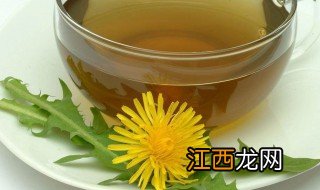 蒲公英根茶能长期喝吗 蒲公英功效介绍