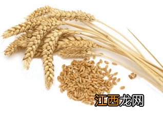 缓解消化不良的9种食物