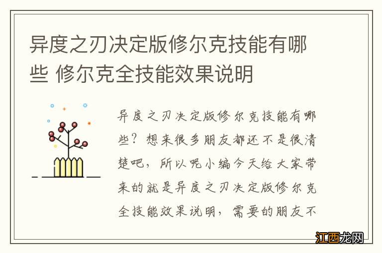 异度之刃决定版修尔克技能有哪些 修尔克全技能效果说明