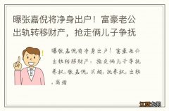 曝张嘉倪将净身出户！富豪老公出轨转移财产，抢走俩儿子争抚养权