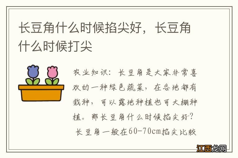 长豆角什么时候掐尖好，长豆角什么时候打尖