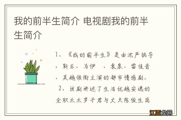 我的前半生简介 电视剧我的前半生简介