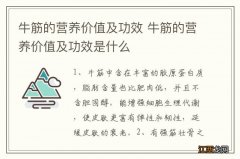 牛筋的营养价值及功效 牛筋的营养价值及功效是什么