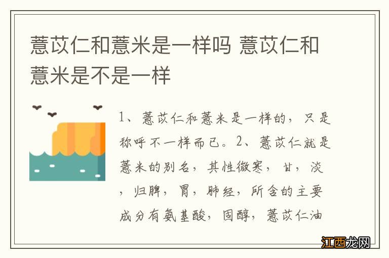 薏苡仁和薏米是一样吗 薏苡仁和薏米是不是一样