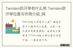 Temtem防汗带有什么用 Temtem防汗带位置与作用介绍_网