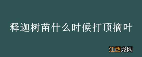 释迦树苗长多高打顶 释迦树苗什么时候打顶摘叶