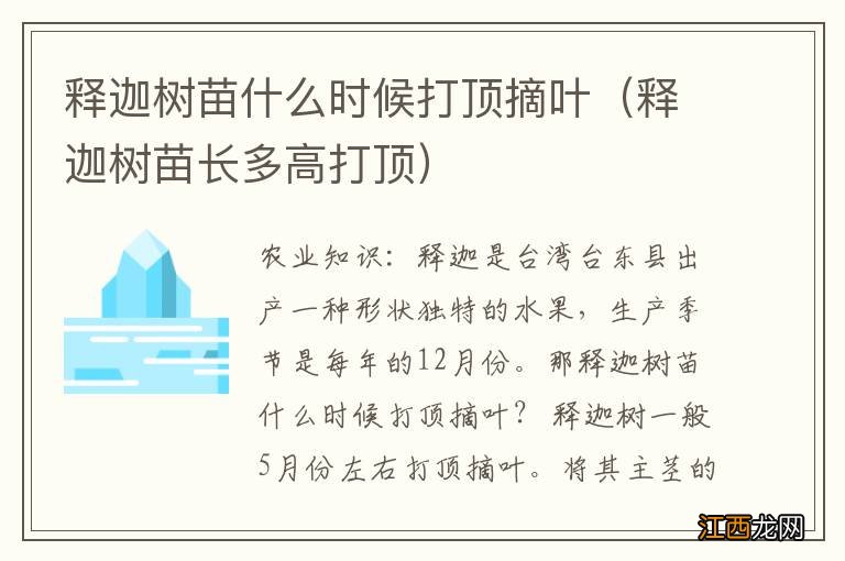 释迦树苗长多高打顶 释迦树苗什么时候打顶摘叶