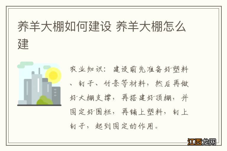 养羊大棚如何建设 养羊大棚怎么建