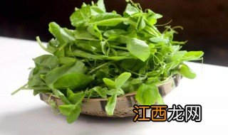 青碗豆尖怎么做好吃 豌豆尖的做法