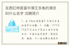 在西红柿首富中演王多鱼的演员叫什么名字 沈腾简介