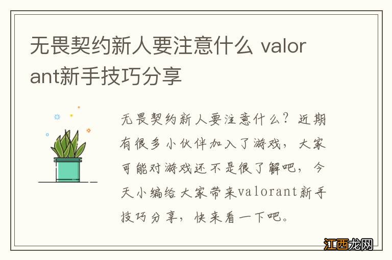 无畏契约新人要注意什么 valorant新手技巧分享