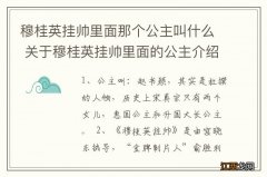 穆桂英挂帅里面那个公主叫什么 关于穆桂英挂帅里面的公主介绍