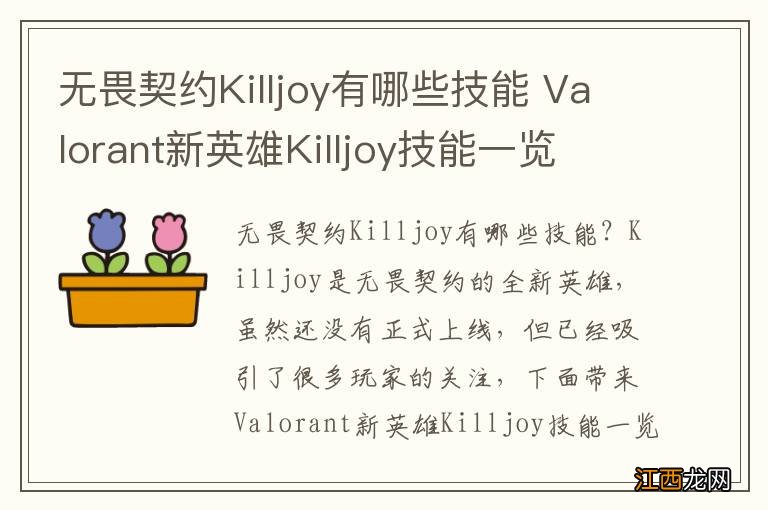 无畏契约Killjoy有哪些技能 Valorant新英雄Killjoy技能一览