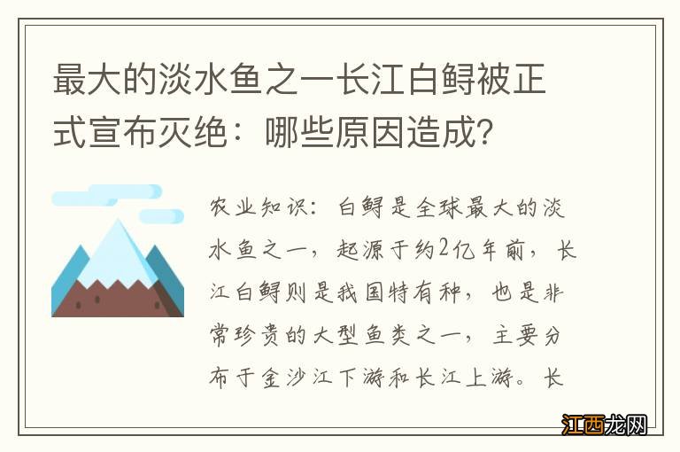 最大的淡水鱼之一长江白鲟被正式宣布灭绝：哪些原因造成？