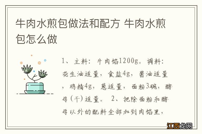 牛肉水煎包做法和配方 牛肉水煎包怎么做