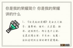 你是我的荣耀简介 你是我的荣耀讲的什么