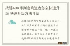 战锤40K审判官殉道者怎么快速升级 快速升级方法介绍