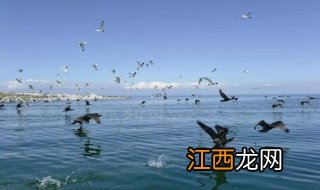 青海湖旅行攻略，