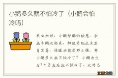 小鹅会怕冷吗 小鹅多久就不怕冷了