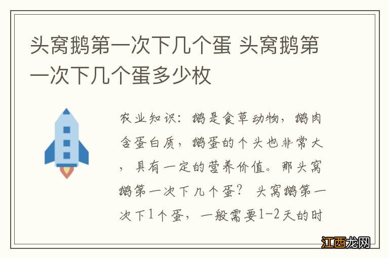 头窝鹅第一次下几个蛋 头窝鹅第一次下几个蛋多少枚