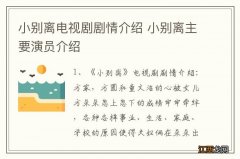 小别离电视剧剧情介绍 小别离主要演员介绍