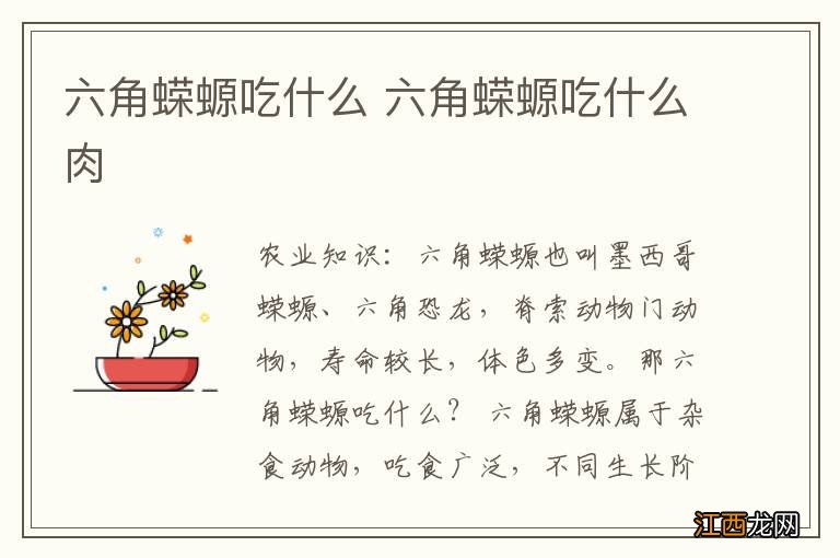 六角蝾螈吃什么 六角蝾螈吃什么肉