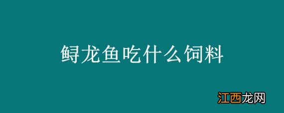 鲟龙鱼吃什么饲料 鲟龙鱼吃什么饲料长得快