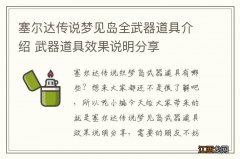 塞尔达传说梦见岛全武器道具介绍 武器道具效果说明分享