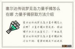 塞尔达传说梦见岛力量手镯怎么在哪 力量手镯获取方法介绍