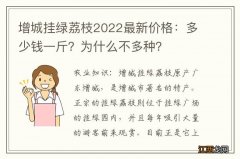 增城挂绿荔枝2022最新价格：多少钱一斤？为什么不多种？