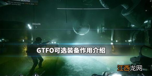 GTFO可选装备有哪些 GTFO可选装备作用介绍_网