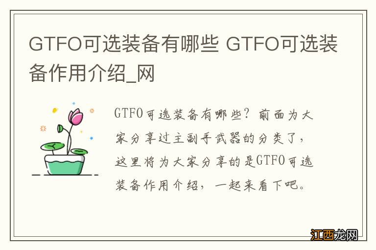 GTFO可选装备有哪些 GTFO可选装备作用介绍_网