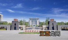 河南财经政法大学如何查询成绩？怎么操作？