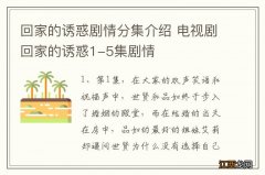 回家的诱惑剧情分集介绍 电视剧回家的诱惑1-5集剧情