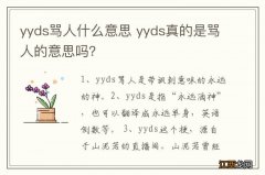 yyds骂人什么意思 yyds真的是骂人的意思吗？