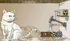 &quot;薛定谔的猫&quot;是什么？和动物相关的著名实验有哪些？