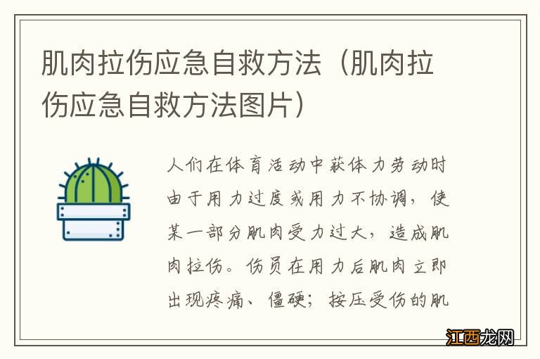 肌肉拉伤应急自救方法图片 肌肉拉伤应急自救方法