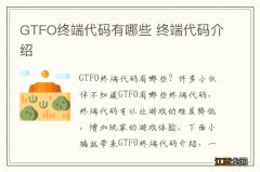 GTFO终端代码有哪些 终端代码介绍