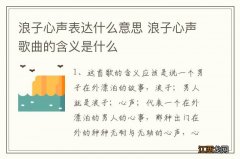 浪子心声表达什么意思 浪子心声歌曲的含义是什么