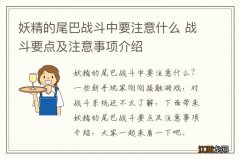 妖精的尾巴战斗中要注意什么 战斗要点及注意事项介绍