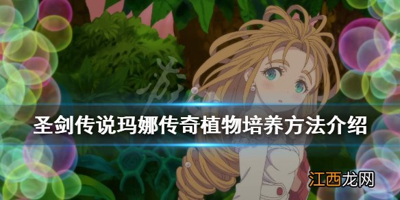 圣剑传说玛娜传奇植物怎么培养 植物培养方法介绍