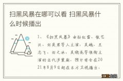 扫黑风暴在哪可以看 扫黑风暴什么时候播出