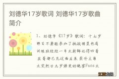 刘德华17岁歌词 刘德华17岁歌曲简介