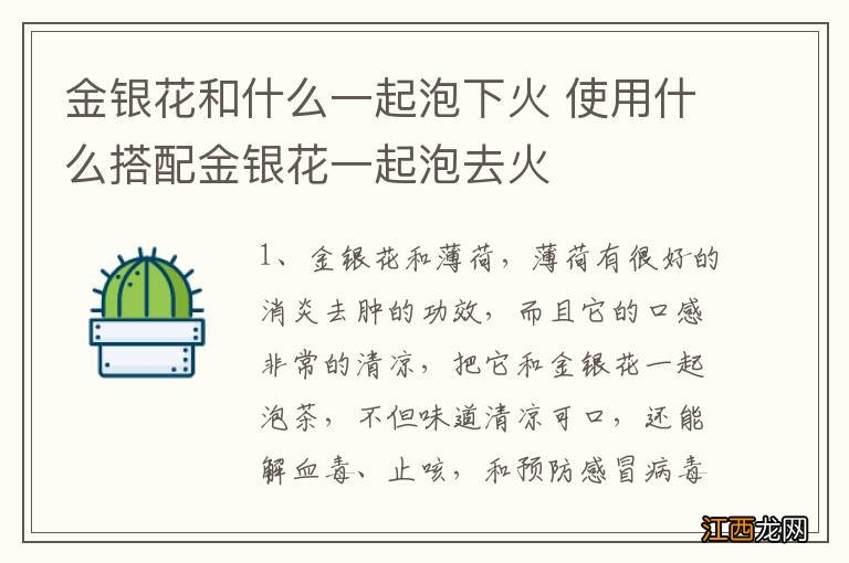 金银花和什么一起泡下火 使用什么搭配金银花一起泡去火