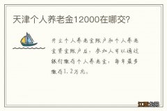 天津个人养老金12000在哪交？