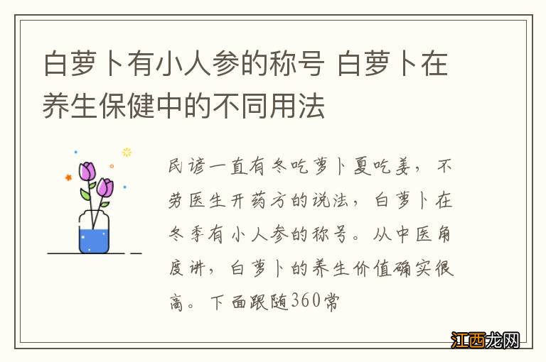 白萝卜有小人参的称号 白萝卜在养生保健中的不同用法