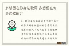 多想留在你身边歌词 多想留在你身边歌简介