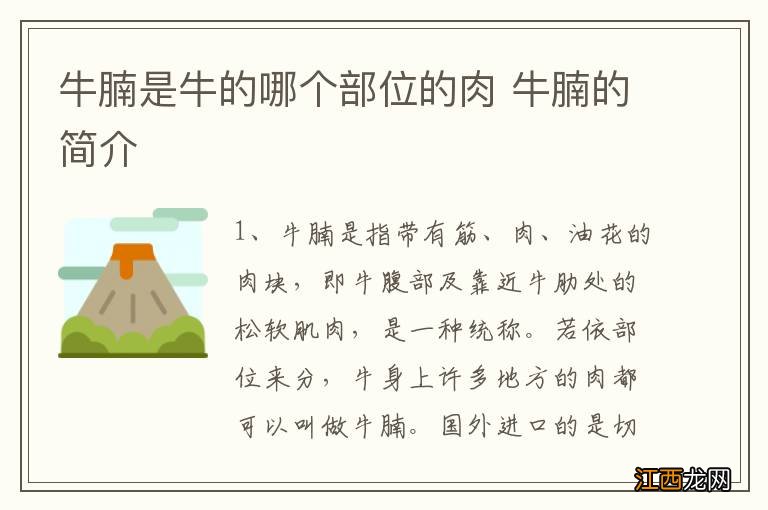 牛腩是牛的哪个部位的肉 牛腩的简介